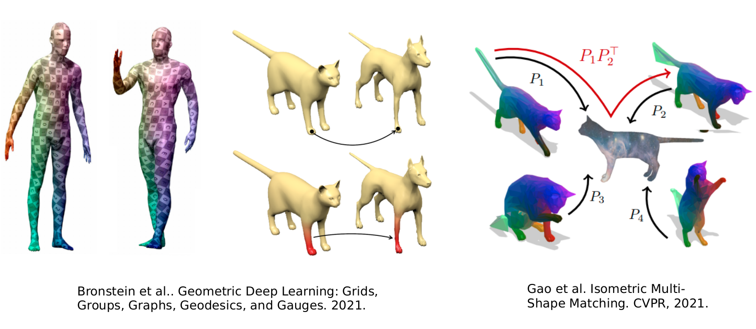 3D Shape Correspondence Estimation